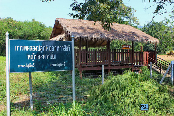 เขาชะงุ้ม ราชบุรี เขาชะงุ้ม ราชบุรี