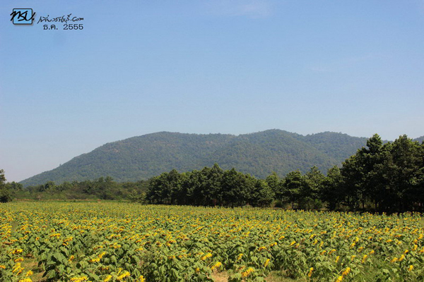 เขาชะงุ้ม ราชบุรี เขาชะงุ้ม ราชบุรี