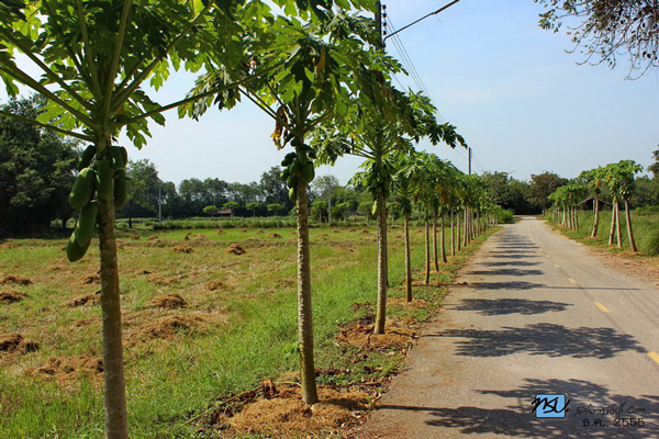 เขาชะงุ้ม ราชบุรี เขาชะงุ้ม ราชบุรี
