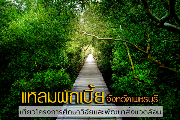แหลมผักเบี้ย แหลมผักเบี้ย