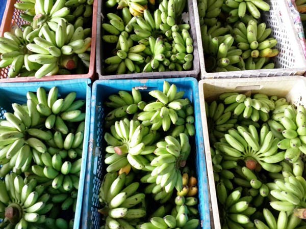 ตลาดไอยรา ปทุมธานี ตลาดไอยรา ปทุมธานี