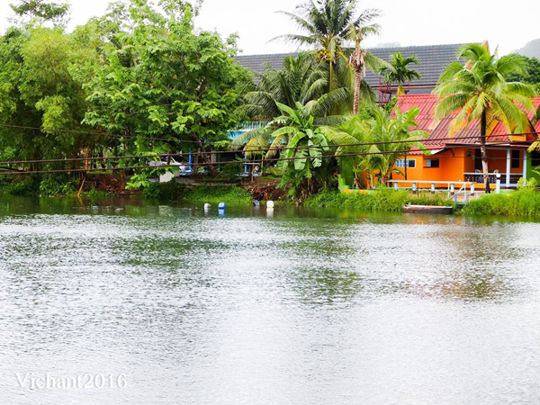 ตลาดน้ำภูเก็ต ตลาดน้ำภูเก็ต