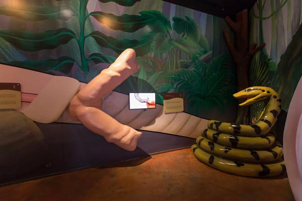 Siam Serpentarium Siam Serpentarium
