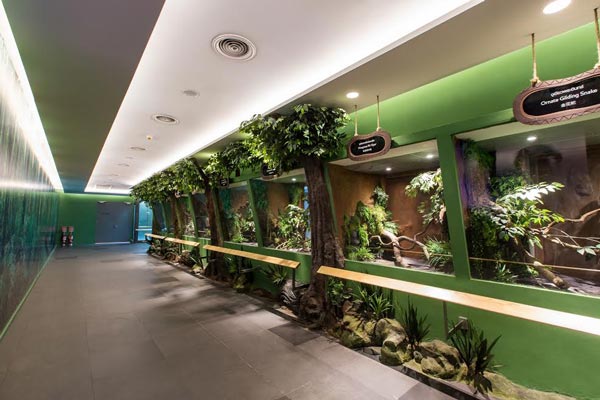 Siam Serpentarium Siam Serpentarium