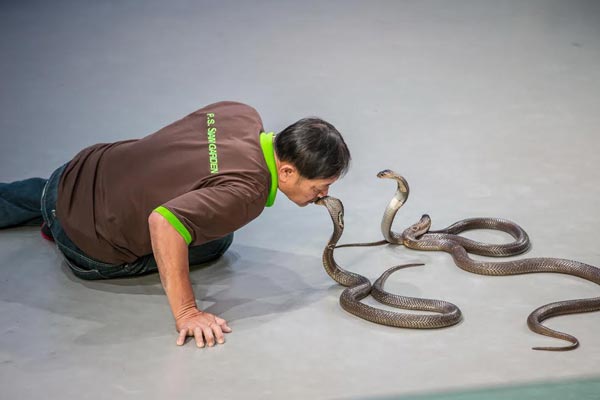 Siam Serpentarium Siam Serpentarium