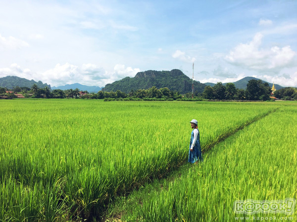 ทุ่งเสลี่ยม สุโขทัย ทุ่งเสลี่ยม สุโขทัย