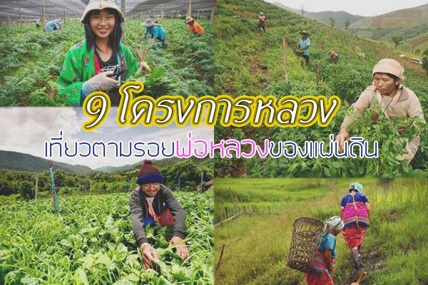 ที่เที่ยวโครงการหลวง ที่เที่ยวโครงการหลวง
