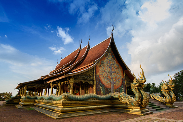 ต้นไม้เรืองแสง วัดสิรินธรวรารามภูพร้าว ต้นไม้เรืองแสง วัดสิรินธรวรารามภูพร้าว