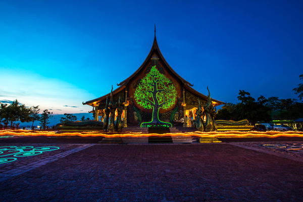 ต้นไม้เรืองแสง วัดสิรินธรวรารามภูพร้าว ต้นไม้เรืองแสง วัดสิรินธรวรารามภูพร้าว