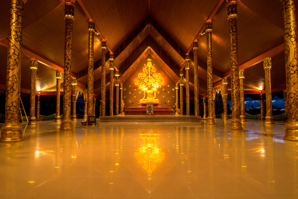 ต้นไม้เรืองแสง วัดสิรินธรวรารามภูพร้าว ต้นไม้เรืองแสง วัดสิรินธรวรารามภูพร้าว