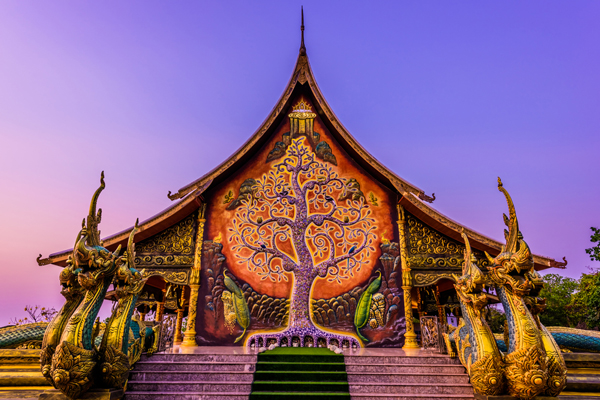 ต้นไม้เรืองแสง วัดสิรินธรวรารามภูพร้าว ต้นไม้เรืองแสง วัดสิรินธรวรารามภูพร้าว