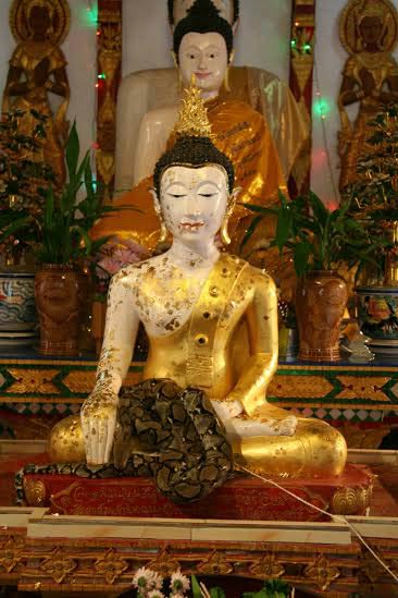 หลวงพ่อทันใจ หลวงพ่อทันใจ