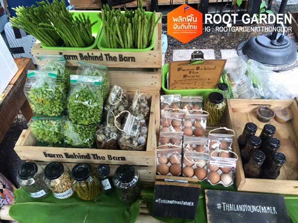 Root Garden Root Garden