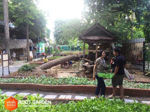 Root Garden Root Garden