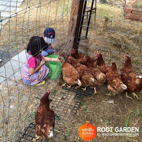 Root Garden Root Garden