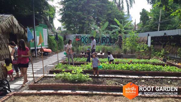 Root Garden Root Garden