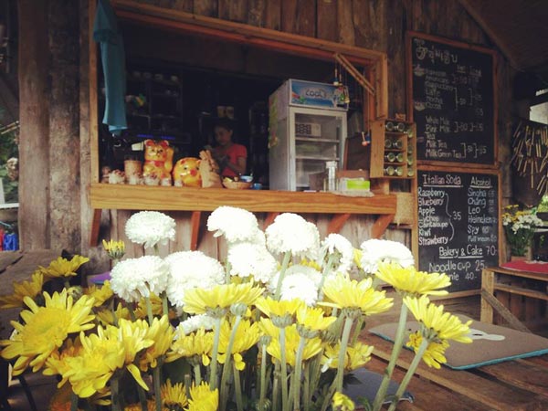 ร้านกาแฟวิวทุ่งนา ร้านกาแฟวิวทุ่งนา