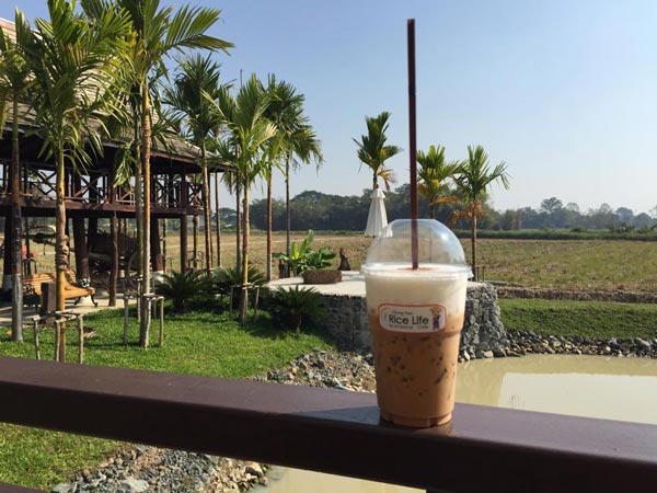 ร้านกาแฟวิวทุ่งนา ร้านกาแฟวิวทุ่งนา
