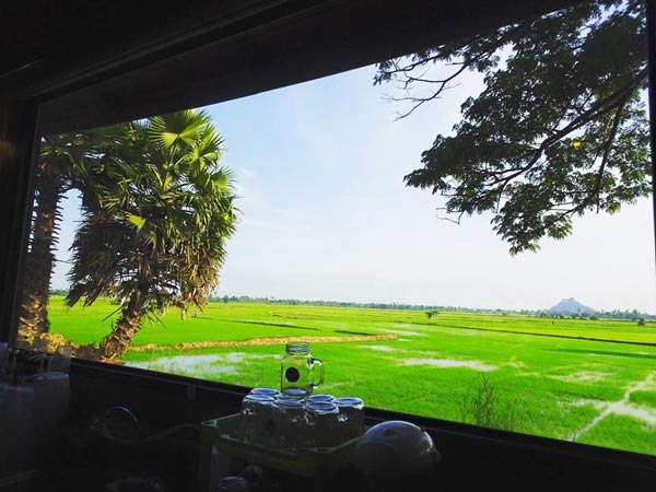 ร้านกาแฟวิวทุ่งนา ร้านกาแฟวิวทุ่งนา
