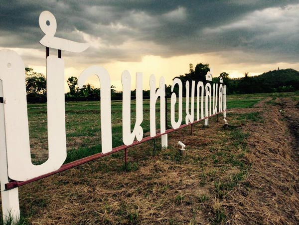 ร้านกาแฟวิวทุ่งนา ร้านกาแฟวิวทุ่งนา