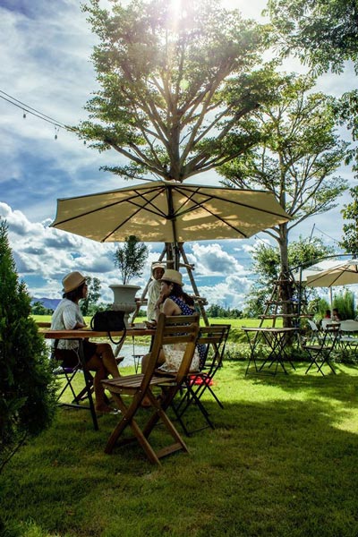 ร้านกาแฟวิวทุ่งนา ร้านกาแฟวิวทุ่งนา