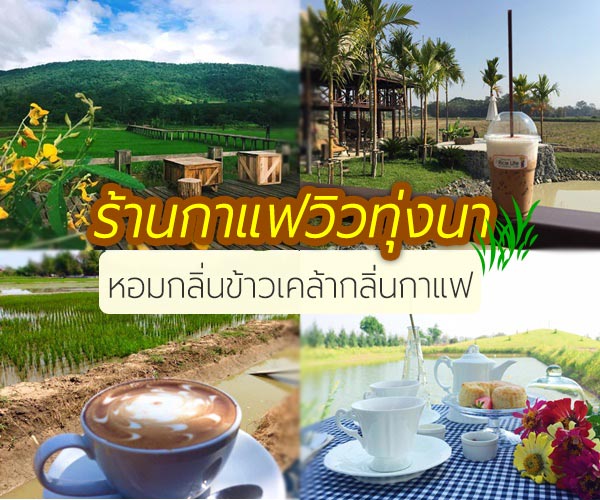 ร้านกาแฟวิวทุ่งนา ร้านกาแฟวิวทุ่งนา