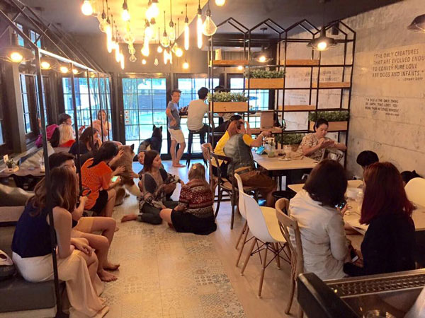 คาเฟ่น้องหมา คาเฟ่น้องหมา