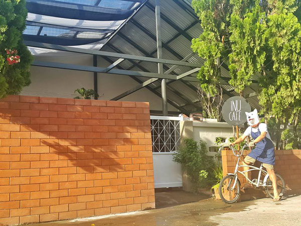 คาเฟ่น้องหมา คาเฟ่น้องหมา