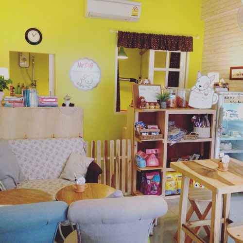 คาเฟ่น้องหมา คาเฟ่น้องหมา