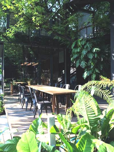 ร้านคาเฟ่ในสวน ร้านคาเฟ่ในสวน
