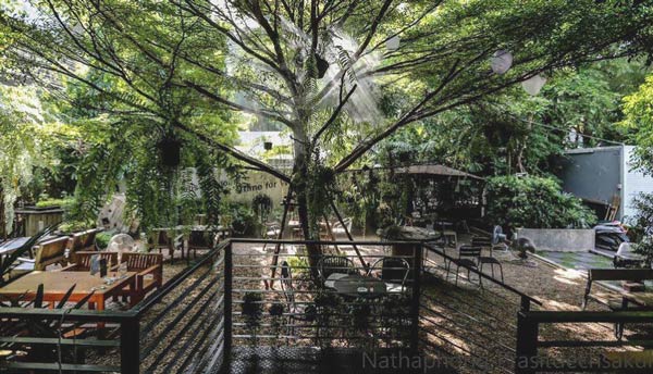 ร้านคาเฟ่ในสวน ร้านคาเฟ่ในสวน