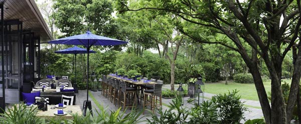 ร้านคาเฟ่ในสวน ร้านคาเฟ่ในสวน