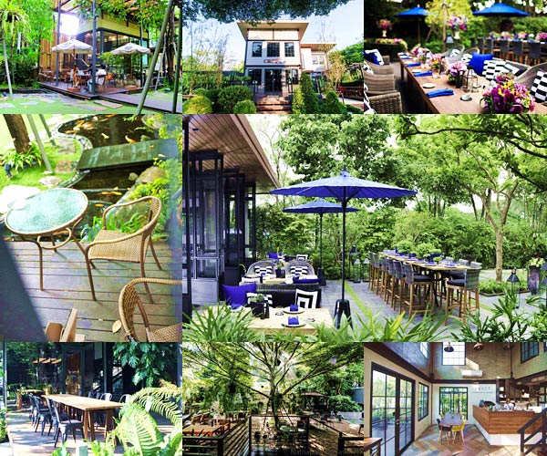 ร้านคาเฟ่ในสวน ร้านคาเฟ่ในสวน
