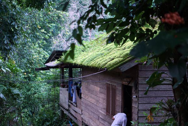 บ้านแม่แมะ เชียงใหม่ บ้านแม่แมะ เชียงใหม่