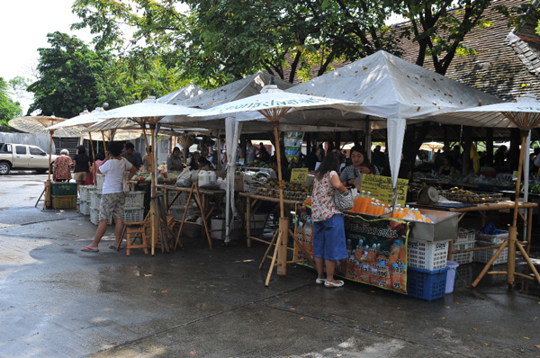 เที่ยวเชียงใหม่ เที่ยวเชียงใหม่