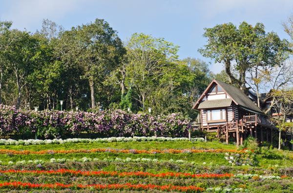เที่ยวเชียงใหม่ เที่ยวเชียงใหม่