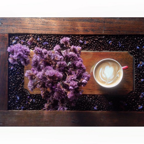 ร้านน่านั่งในเชียงใหม่ ร้านน่านั่งในเชียงใหม่
