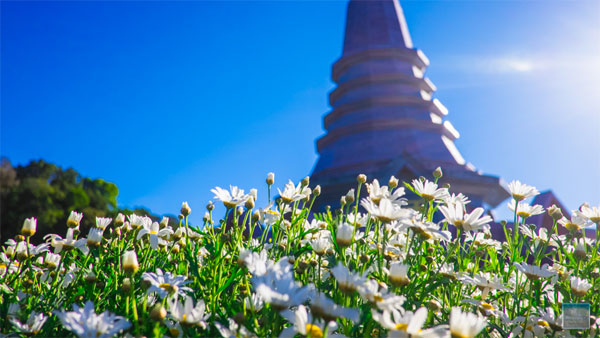 เที่ยวเชียงใหม่ เที่ยวเชียงใหม่