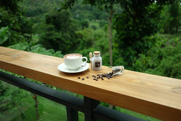 ร้านอาหารและกาแฟเชียงใหม่ ร้านอาหารและกาแฟเชียงใหม่