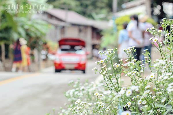 เที่ยวแม่กำปอง เชียงใหม่ เที่ยวแม่กำปอง เชียงใหม่