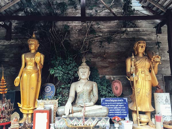 เที่ยวแม่กำปอง เชียงใหม่ เที่ยวแม่กำปอง เชียงใหม่
