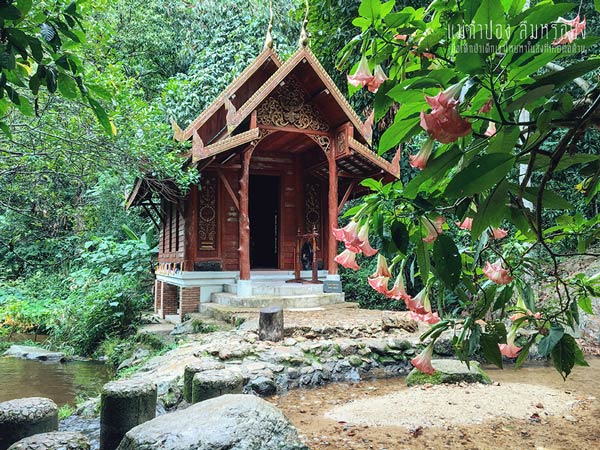 เที่ยวแม่กำปอง เชียงใหม่ เที่ยวแม่กำปอง เชียงใหม่