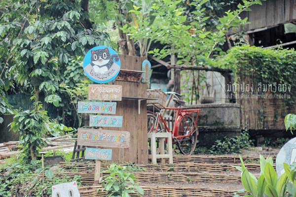 เที่ยวแม่กำปอง เชียงใหม่ เที่ยวแม่กำปอง เชียงใหม่