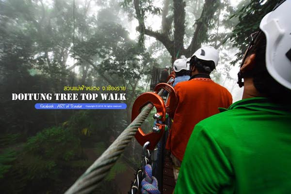 Tree Top Walk Tree Top Walk