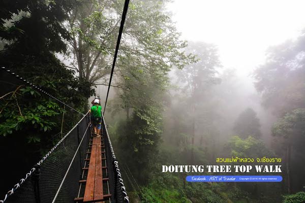 Tree Top Walk Tree Top Walk