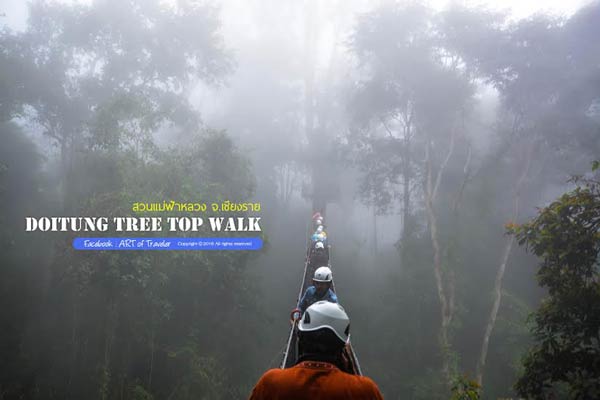 Tree Top Walk Tree Top Walk