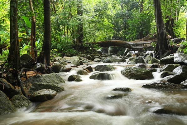 ที่เที่ยวศรีราชา ที่เที่ยวศรีราชา