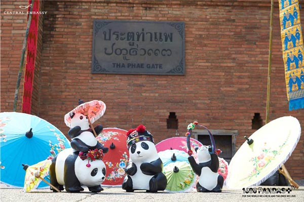 แพนด้า 1,600 ตัว แพนด้า 1,600 ตัว