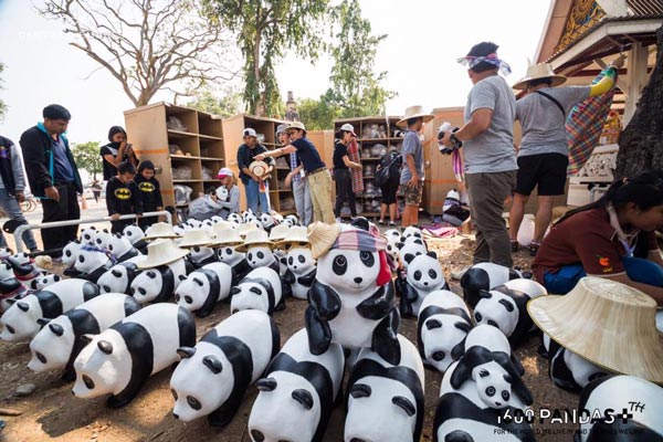 แพนด้า 1,600 ตัว แพนด้า 1,600 ตัว