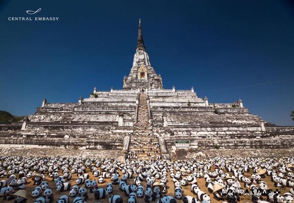 แพนด้า 1,600 ตัว แพนด้า 1,600 ตัว